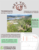 Terreno, 800 m² - Foto 4