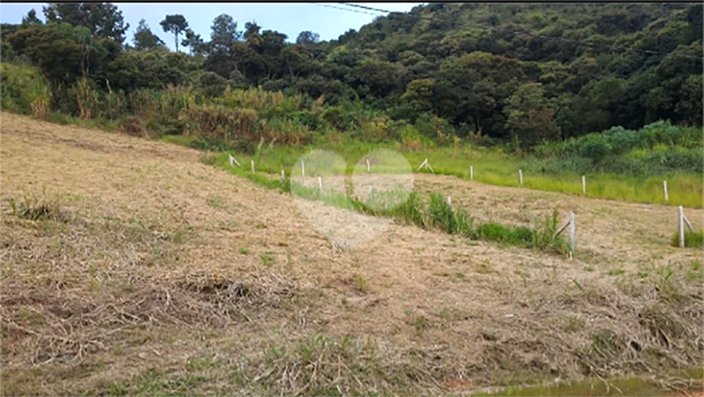 Terreno, 1450 m² - Foto 6