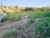 Terreno, 2041 m² - Foto 14