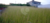 Terreno, 250 m² - Foto 3