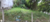 Terreno, 700 m² - Foto 2