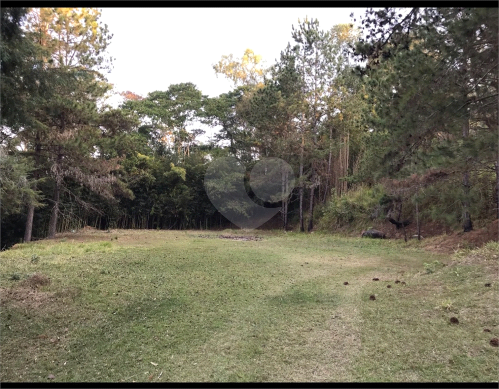 Sítio à venda, 100m² - Foto 4
