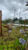 Terreno, 360 m² - Foto 3