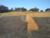 Terreno, 365 m² - Foto 6