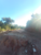 Terreno, 300 m² - Foto 12