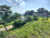 Terreno, 254 m² - Foto 1