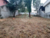 Terreno, 300 m² - Foto 4
