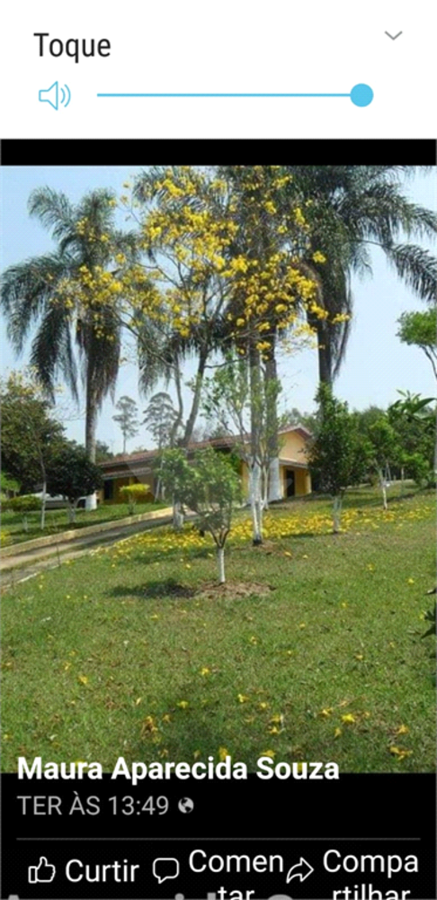 Chácara à venda com 4 quartos, 120m² - Foto 11