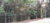 Terreno, 1200 m² - Foto 3