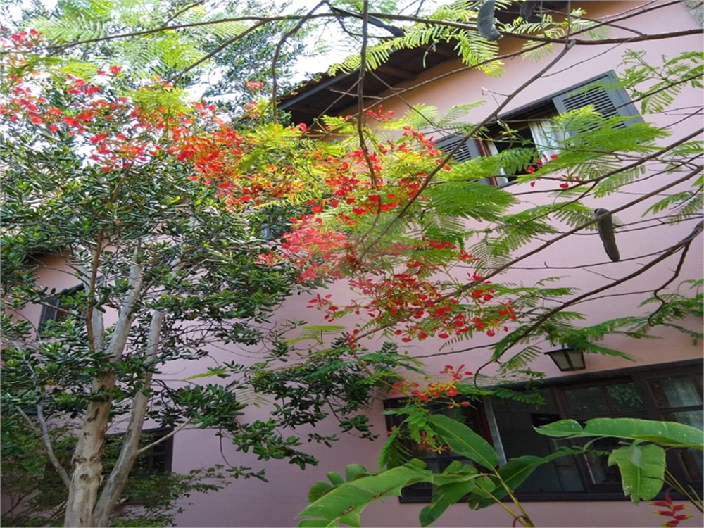 Chácara, 4 quartos, 2350 m² - Foto 3