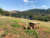Terreno, 602 m² - Foto 4