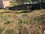 Terreno, 1500 m² - Foto 3