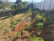 Terreno, 1500 m² - Foto 4