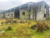 Depósito-Galpão, 1200 m² - Foto 1