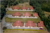 Loja-Salão, 2767 m² - Foto 5