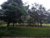 Sítio, 6 quartos, 4 hectares - Foto 30