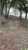 Terreno, 433 m² - Foto 2