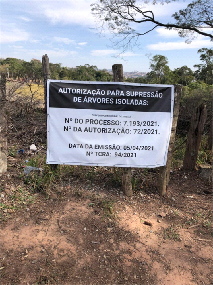 Terreno, 5 hectares - Foto 6