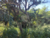 Terreno, 560 m² - Foto 5