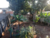 Terreno, 280 m² - Foto 1