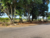 Terreno, 2 hectares - Foto 4