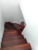 Sobrado, 2 quartos, 144 m² - Foto 5