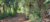 Terreno, 500 m² - Foto 3