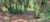 Terreno, 500 m² - Foto 4