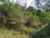 Terreno, 600 m² - Foto 1