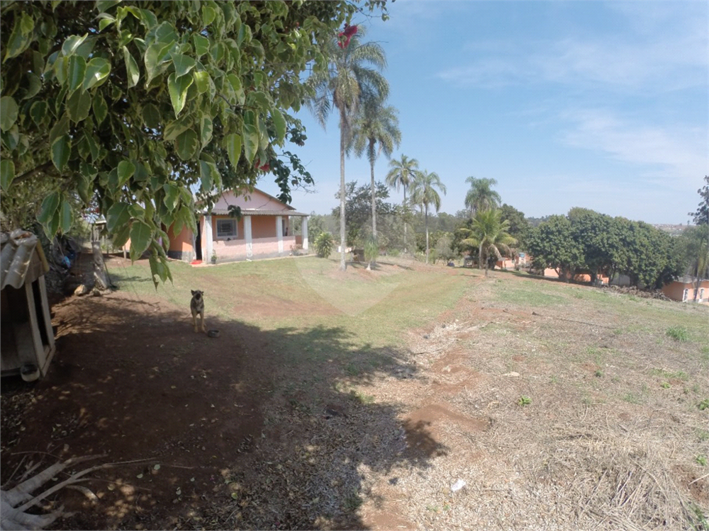 Terreno à venda com 8 quartos, 38000m² - Foto 4