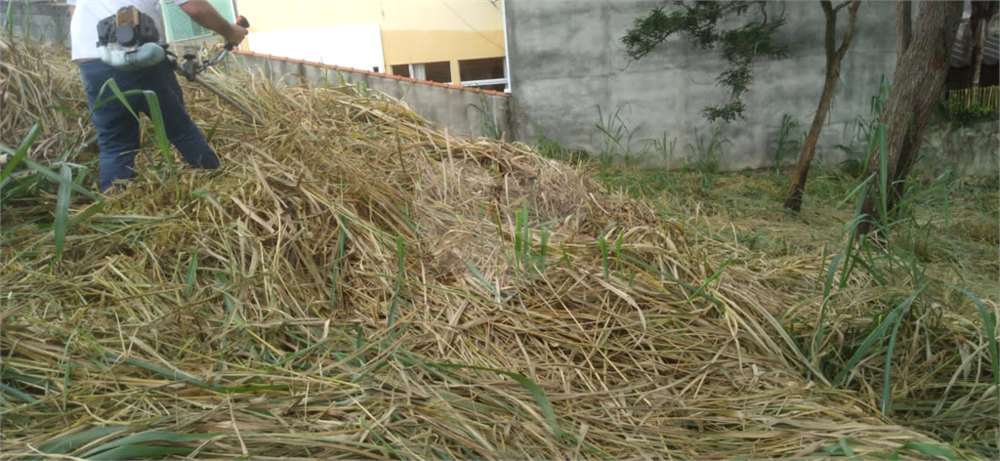 Terreno à venda, 280m² - Foto 8