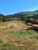 Terreno, 1124 m² - Foto 5