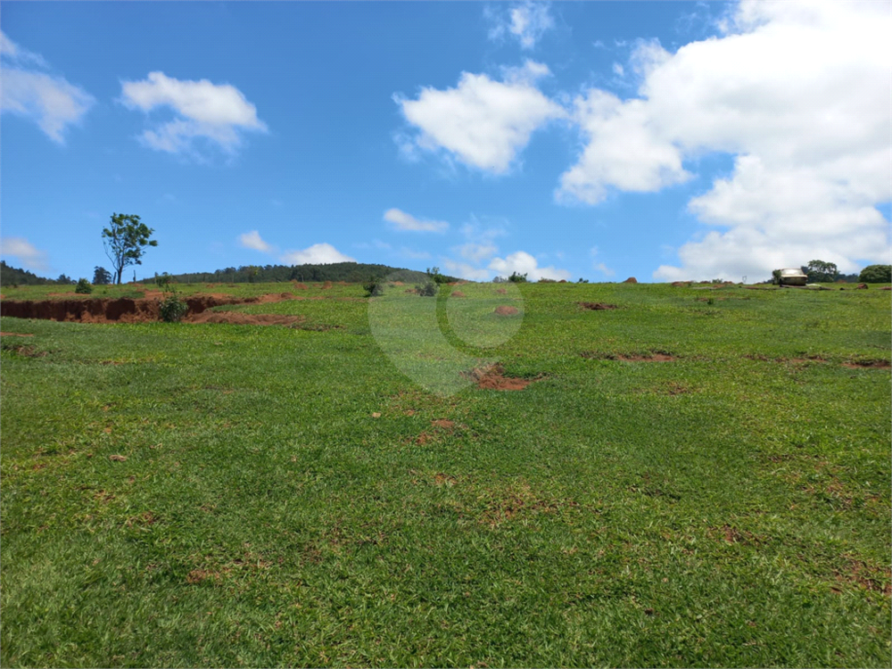 Sítio à venda com 1 quarto, 23000m² - Foto 10