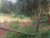 Terreno, 750 m² - Foto 6