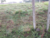 Terreno, 899 m² - Foto 8