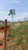Terreno, 500 m² - Foto 2