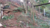 Terreno, 480 m² - Foto 4