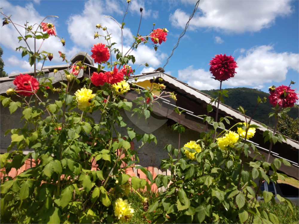 Chácara, 3 quartos, 4000 m² - Foto 2