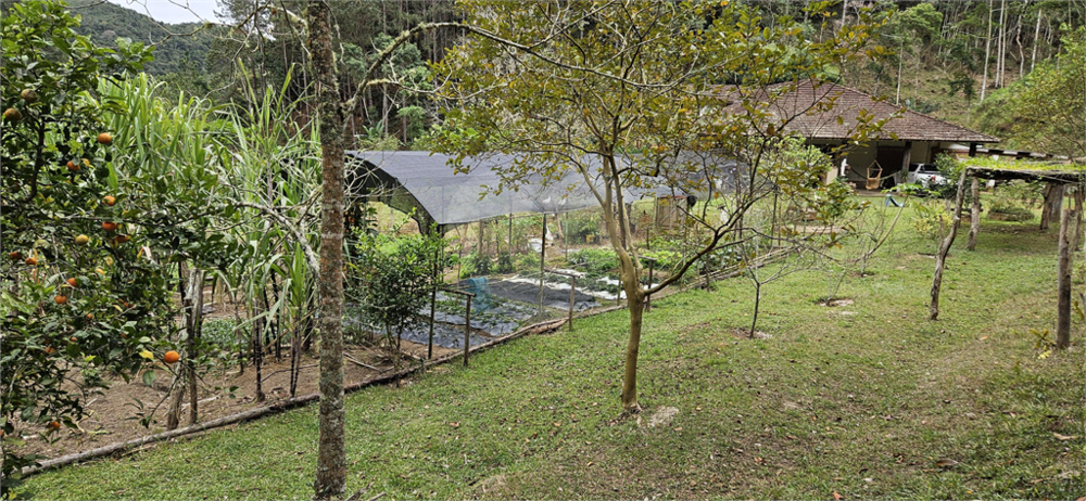 Sítio à venda com 8 quartos, 400m² - Foto 14