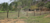 Sítio, 8 quartos, 31 hectares - Foto 12