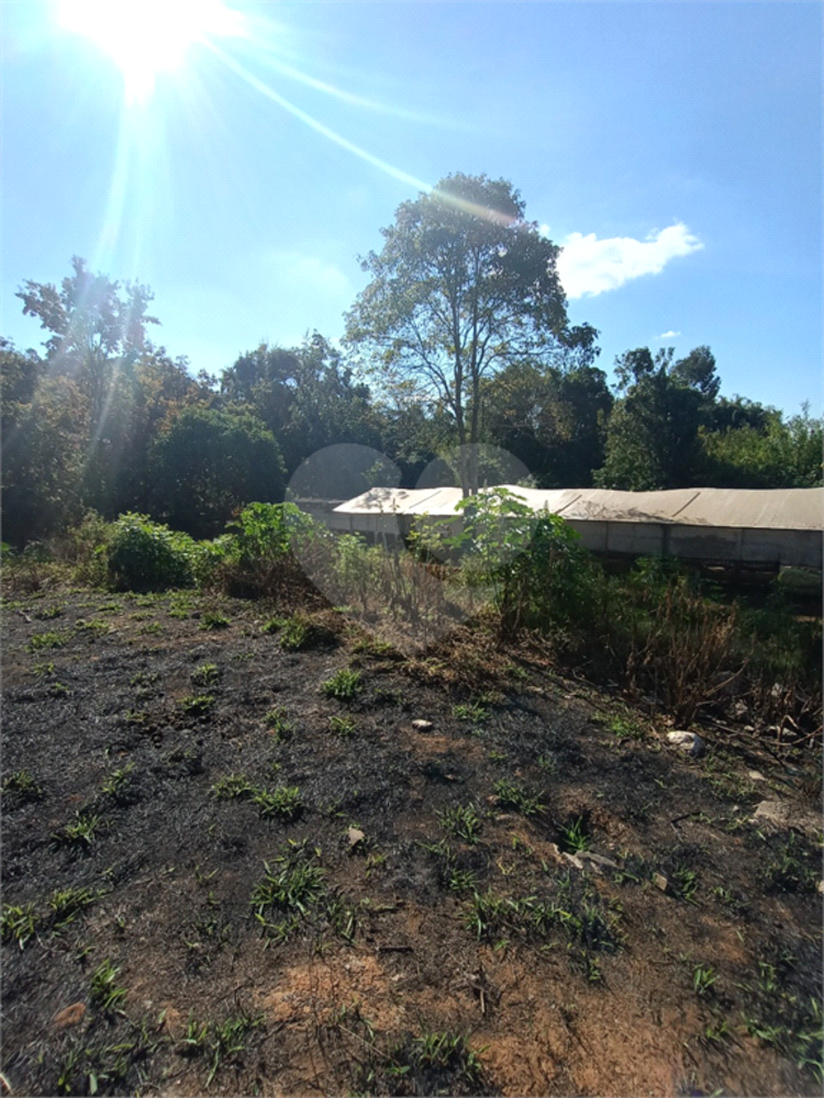 Terreno, 1 hectares - Foto 3