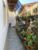 Casa, 3 quartos, 280 m² - Foto 4