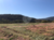 Terreno, 384 m² - Foto 1