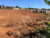 Terreno, 250 m² - Foto 1