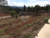 Terreno, 250 m² - Foto 5