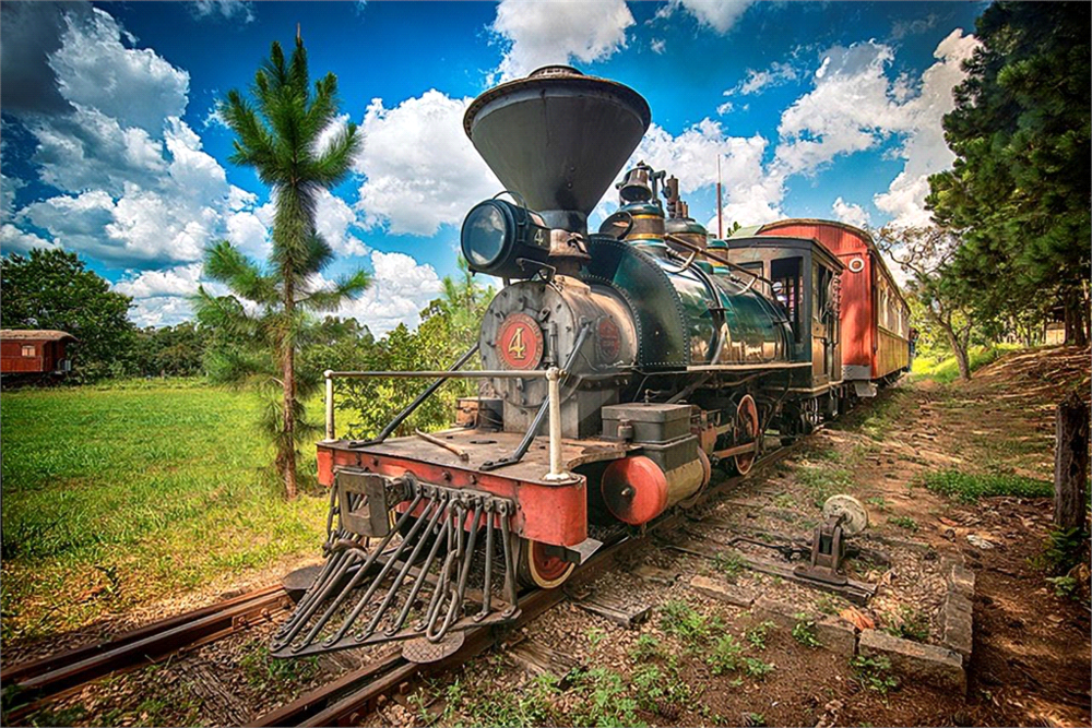 Casa, 4 quartos, 350 m² - Foto 34