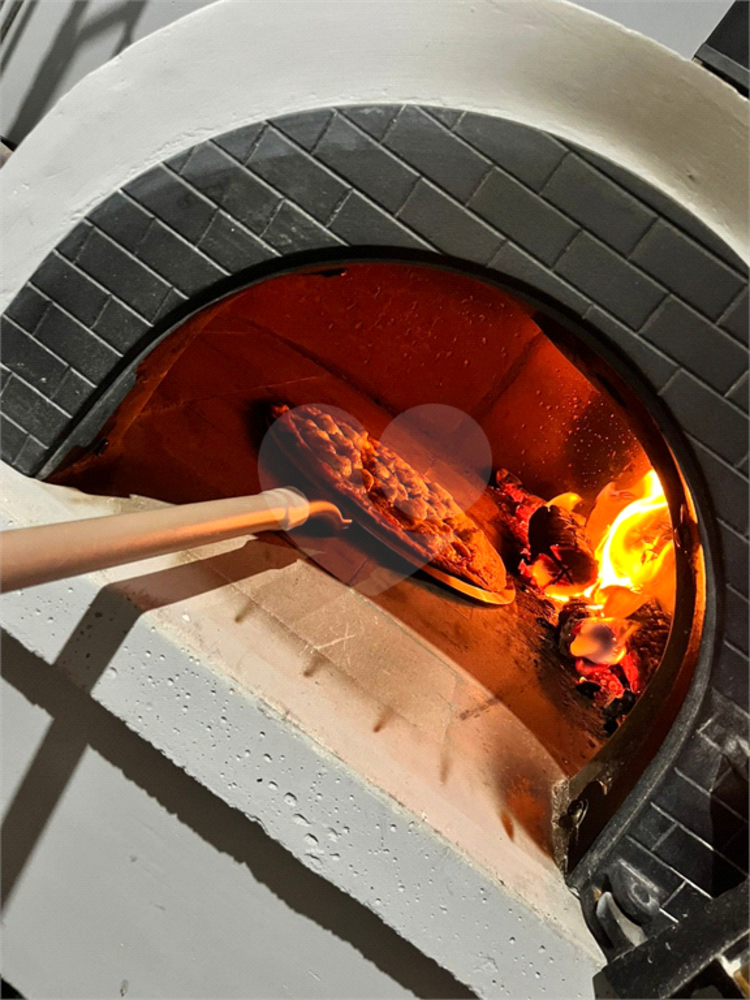 Casa, 4 quartos, 350 m² - Foto 49