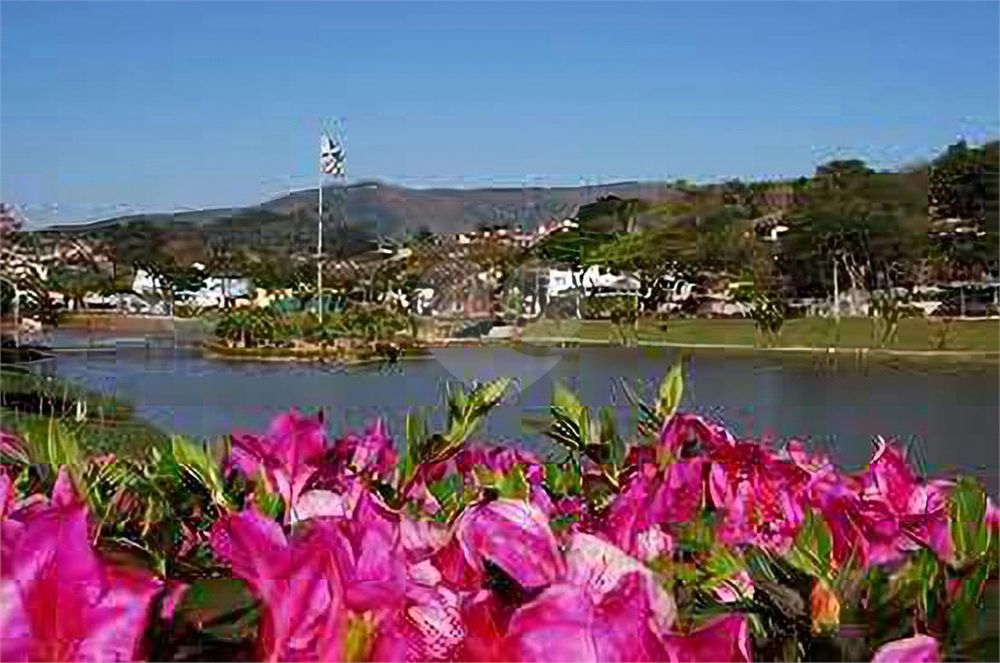 Casa, 4 quartos, 350 m² - Foto 30