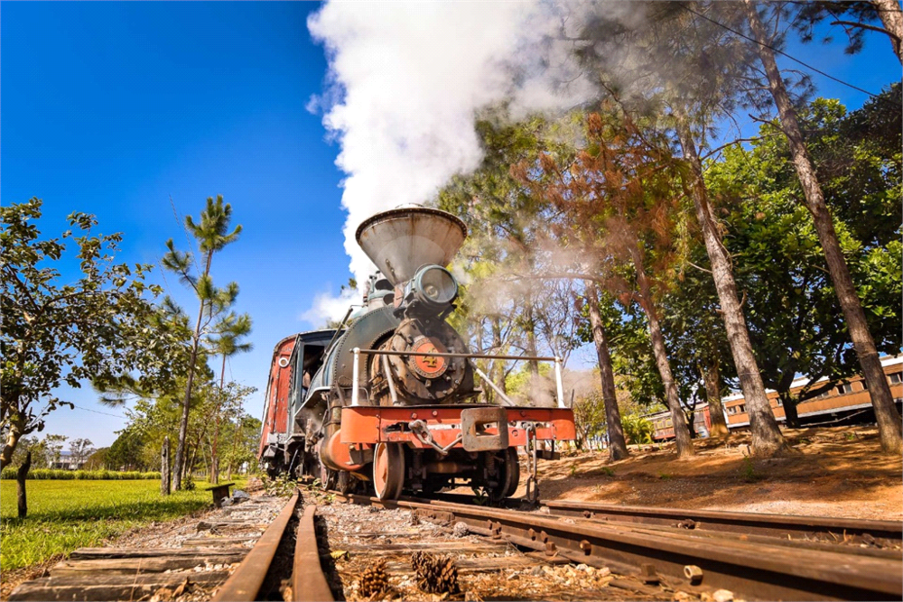 Casa, 4 quartos, 350 m² - Foto 35