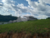 Terreno, 492 m² - Foto 7